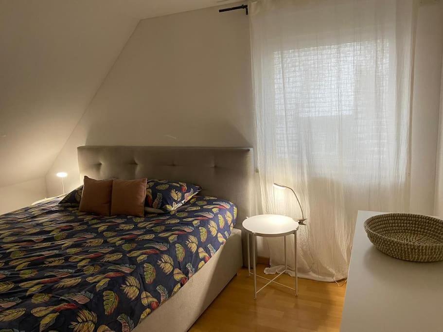 Bel Appartement En Centre Alsace Kintzheim Zewnętrze zdjęcie