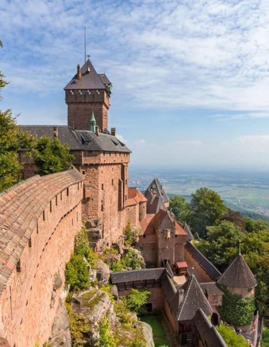 Bel Appartement En Centre Alsace Kintzheim Zewnętrze zdjęcie
